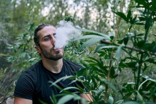 E-Zigaretten kaufen z E-Zigaretten kaufen oraz smok stick v9 – przewodnik po wyborze najlepszego zestawu